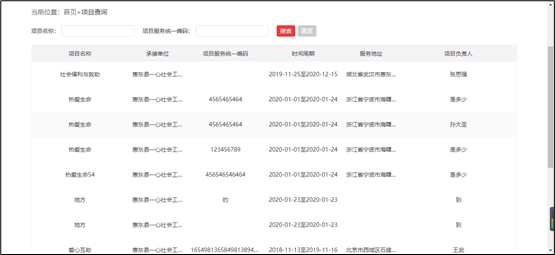 社工信息系统2-项目查询