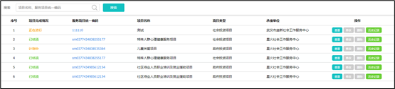 社工信息系统4-项目查询